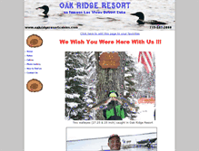 Tablet Screenshot of oakridgeresortcabins.com